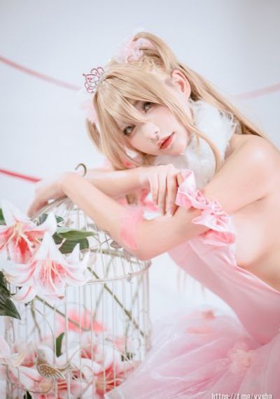 金花瓶楷梅花