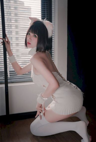 间谍过家家第三季免费观看