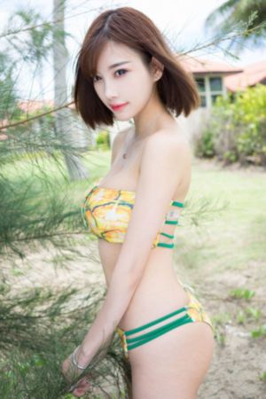 妻子的谎言电视剧